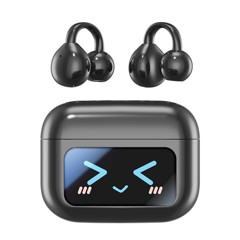 Smart Earbuds